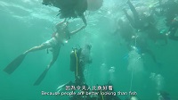 幾位揹著氣筒的潛水員在海底下的照片
